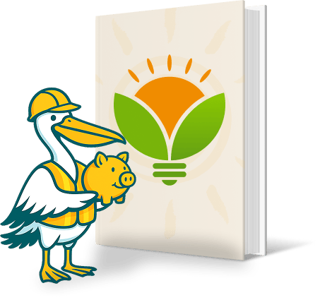 Pelican mascot holding piggy bank next to Energy Efficiency Guide book