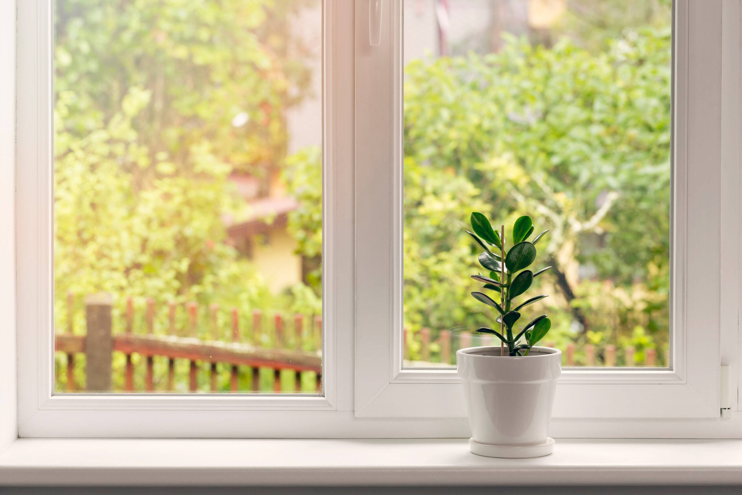 So You’re A First Time Homeowner, Now What?